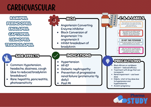 Cardiology Flashcards - PharmaStudyDigital ProductPharmaStudy