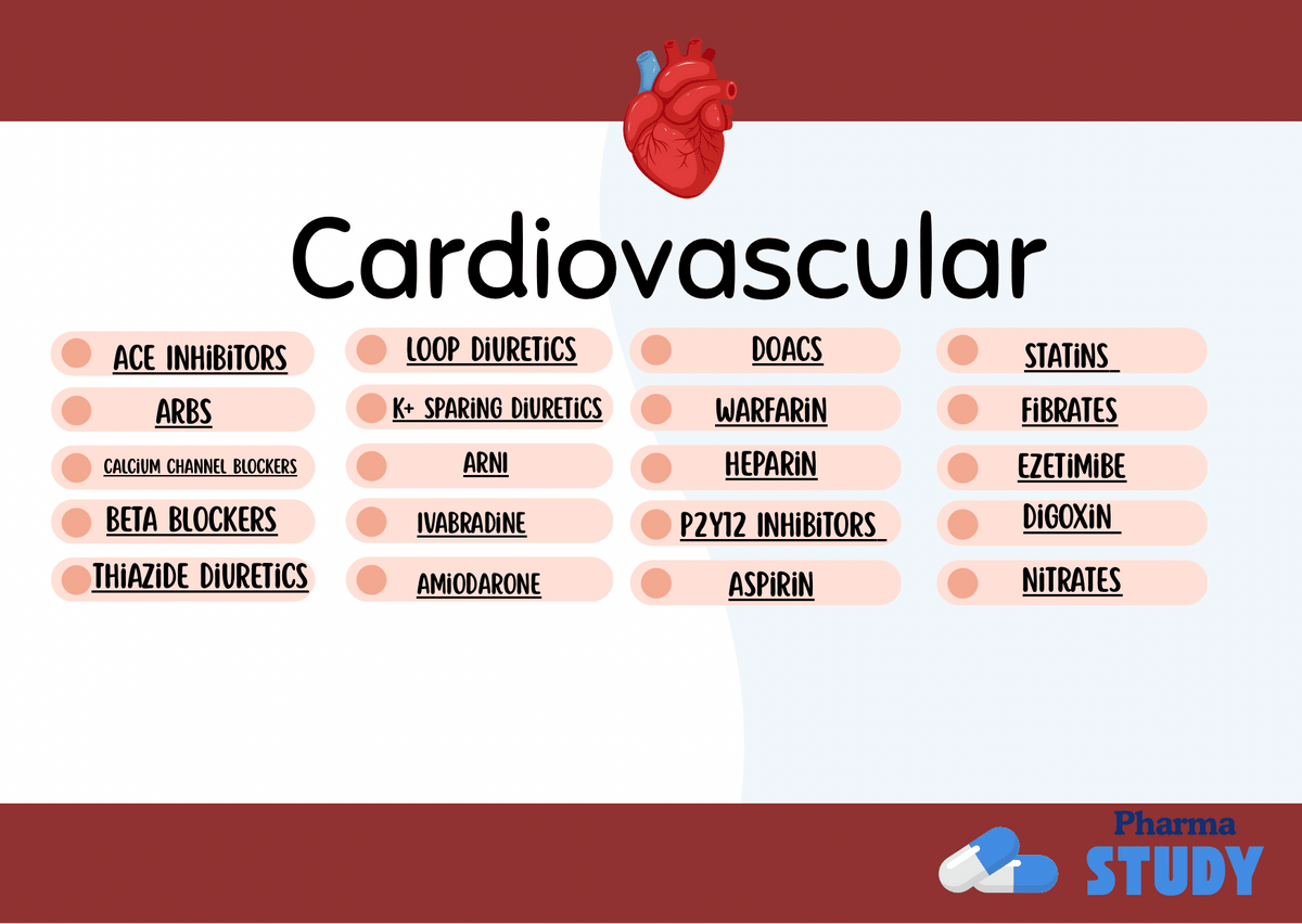 Cardiology Flashcards - PharmaStudyDigital ProductPharmaStudy