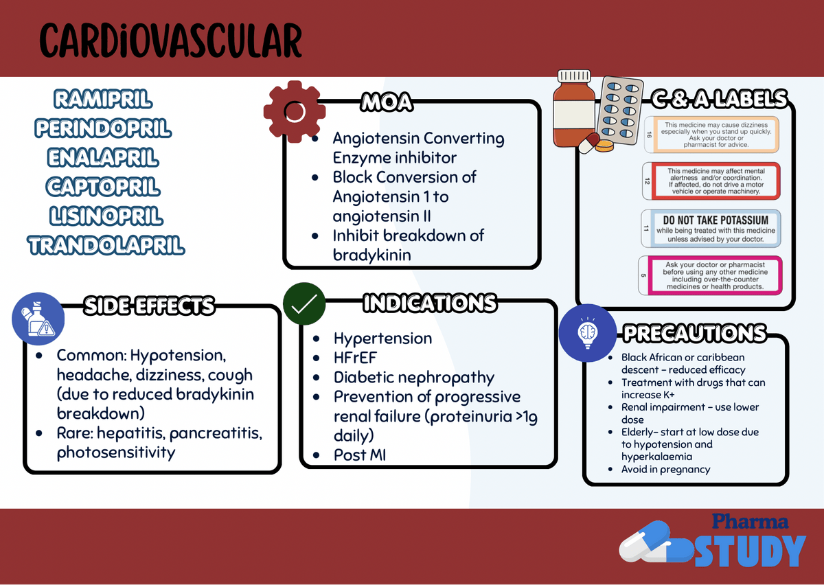 Cardiology Flashcards - PharmaStudyDigital ProductPharmaStudy