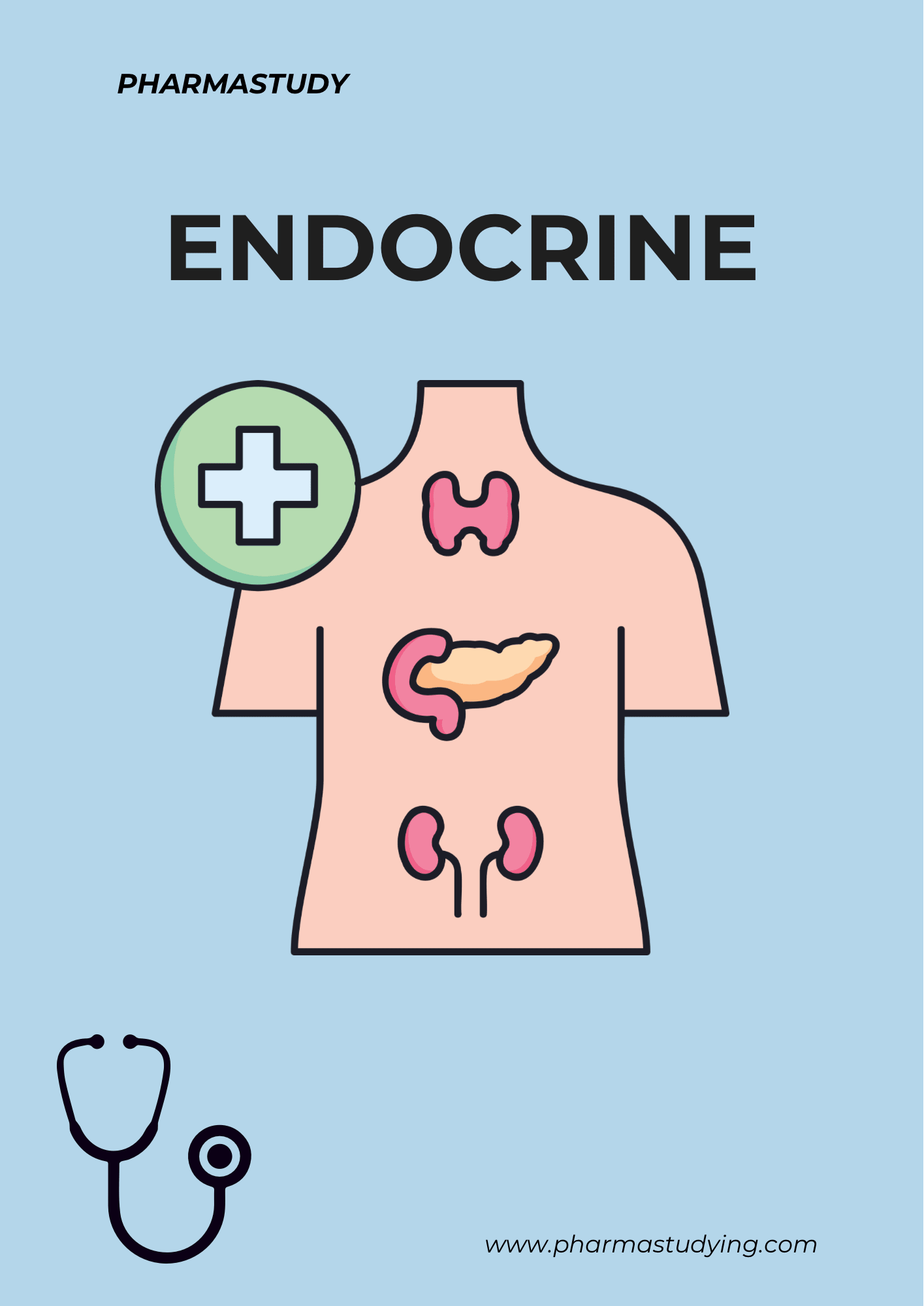 Endocrine Clinical Notes - PharmaStudyDigital ProductPharmaStudy