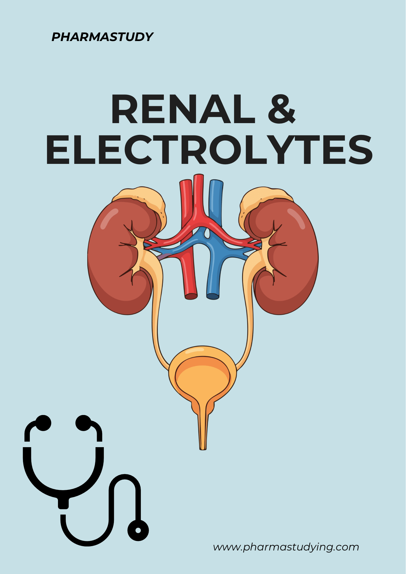 Renal & Electrolytes Clinical Notes - PharmaStudyDigital ProductPharmaStudy